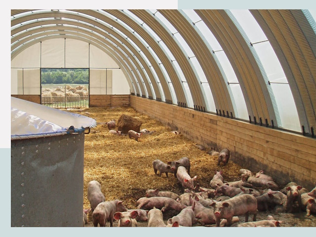 Строительство свинарников в Нальчике