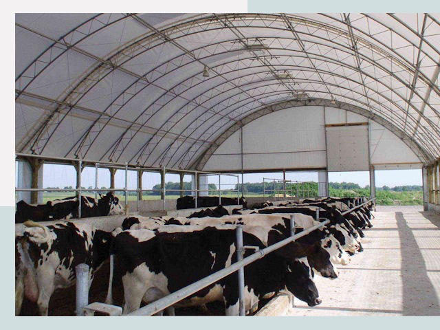 Тентовые коровники в Нальчике